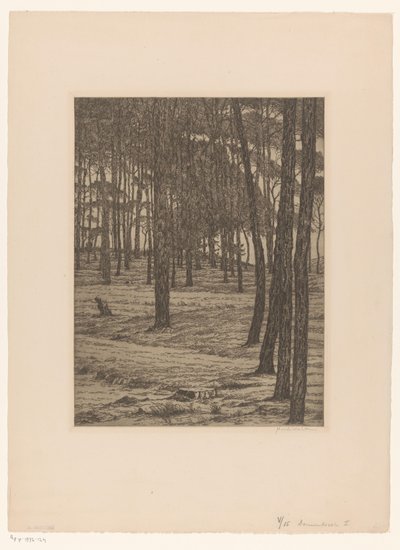 Dennenbosch I（物体上的原始标题） 博斯（原标题） 作者 莫里茨·范德瓦尔克（Maurits van der Valk）（有艺术家签名）
