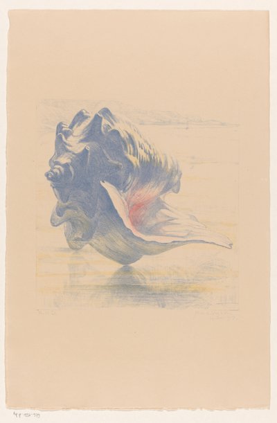 Schelp 作者 莫里茨·范德瓦尔克（Maurits van der Valk）（有艺术家签名）