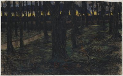日落时分的森林美景 作者 Maurits van der Valk