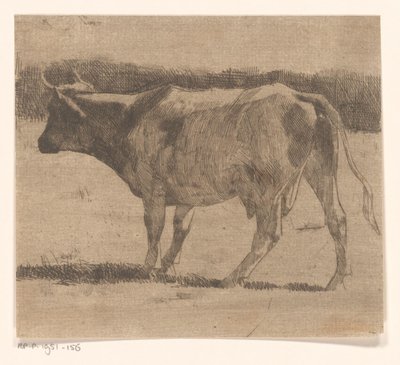 牧场上的牛 作者 Maurits van der Valk