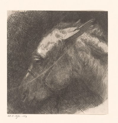 骡子头 作者 Maurits van der Valk