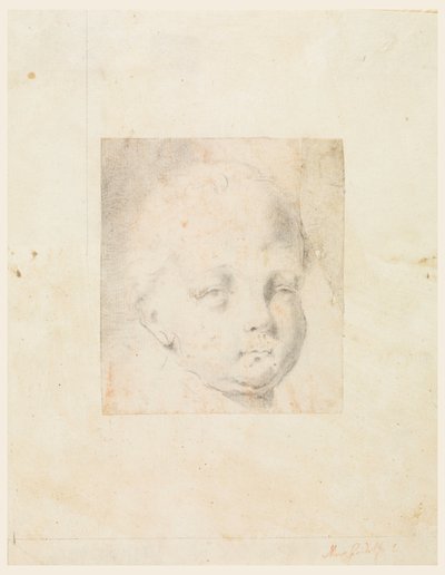 素描，研究：男孩的头部，1810-34 作者 毛罗·甘多菲