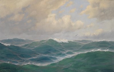 在公海 作者 马克斯·詹森