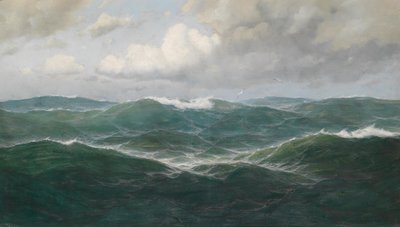 移动的海洋 作者 马克斯·詹森