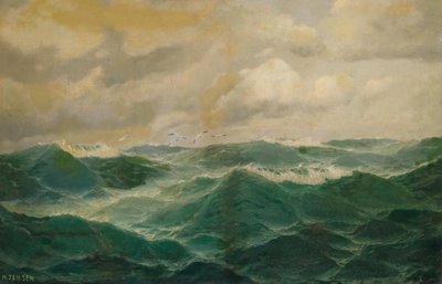海鸥掠过波涛汹涌的大海 作者 马克斯·詹森