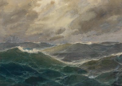 惊涛骇浪 作者 马克斯·詹森