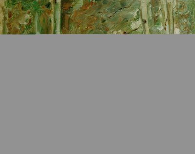 东部的万湖岸上的桦树 作者 马克斯·利伯曼