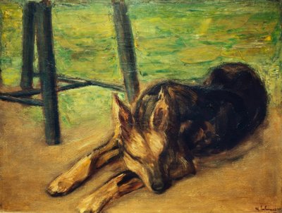 睡觉的德国牧羊犬 作者 马克斯·利伯曼
