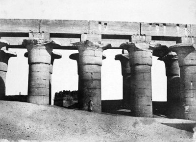 埃及神庙遗址，1852年。 作者 马克西姆·杜营