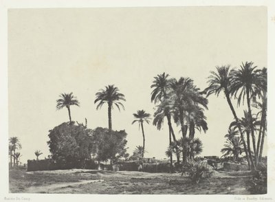 上埃及的哈马梅村，184951年，1852年印刷。 作者 马克西姆·杜营