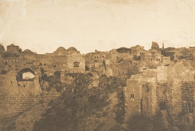 1850年8月，普罗布提池和耶路撒冷的一个地区的景色。 作者 马克西姆·杜营