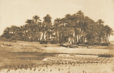 阿斯旺对面的象鼻岛景观，1849-50年。 作者 马克西姆·杜营