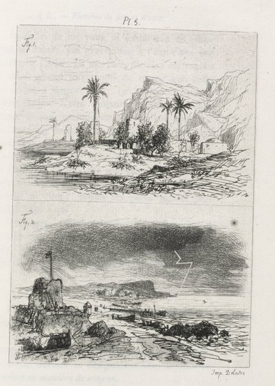 强水雕刻条约：1866年第5版。 作者 马克西姆·拉兰（Maxim Lalanne）