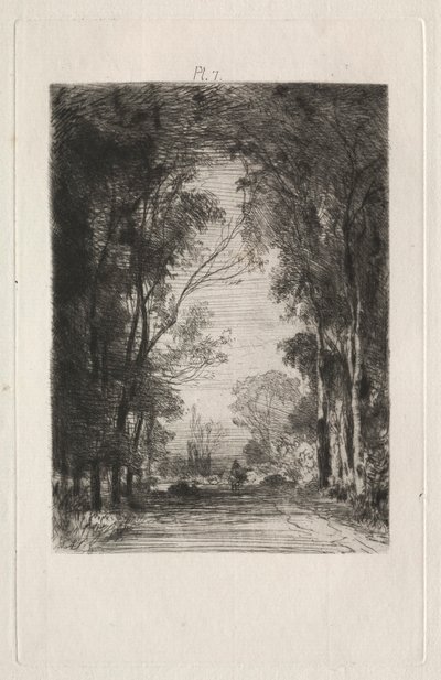 1866年，林中之路的旅行者。 作者 马克西姆·拉兰（Maxim Lalanne）