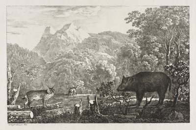 野猪，野猫和山猫，1807年。 作者 马克西米利安·约瑟夫·瓦根鲍尔