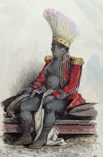 Nuka-Hiva岛上的Temoana国王穿着法国上校的制服，c.1841-48（笔，墨水和纸上的wc） 作者 马克西米利安·拉格