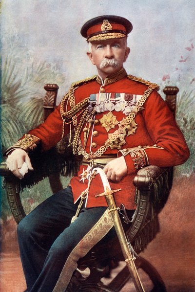 亨利-伊夫林-伍德爵士，英国陆军元帅，维多利亚十字勋章获得者，1902年。 作者 马亚尔