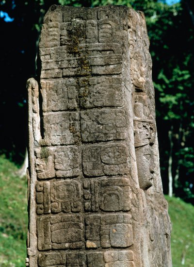 Detail of a stele of the Great Square 作者 玛雅人