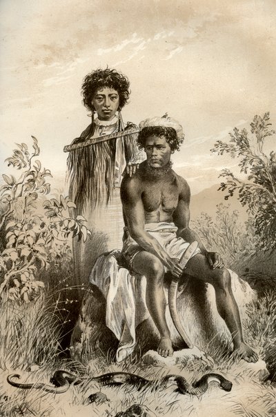 毛利人和地毯蛇，新西兰，1879年 作者 麦克法兰和埃斯金