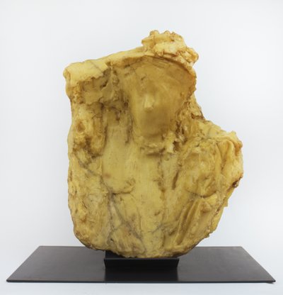 带面纱的女士 作者 梅达多·罗索（Medardo Rosso）