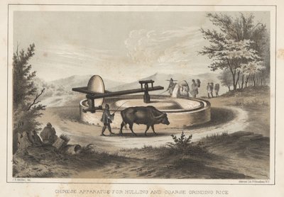 中国脱壳粗磨米器，1855 作者 梅菲特