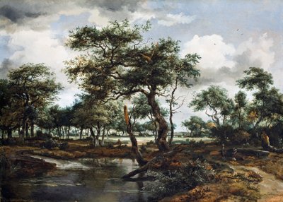 1668年的森林池塘（橡木板上的油） 作者 Meindert Hobbema