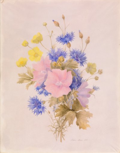 田野鲜花 作者 梅兰妮马克