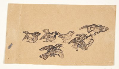 椭圆形大胡子肖像 作者 梅尔基奥尔（Melchior Lorck）