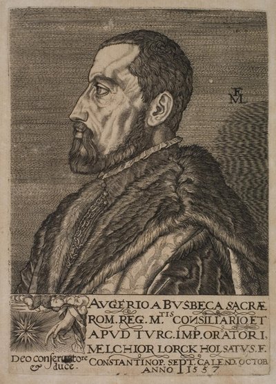 帝国特使 Ogier Ghiselin de Busbecq 的肖像。 作者 梅尔基奥尔（Melchior Lorck）