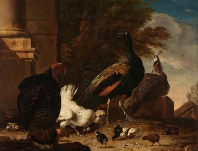 母鸡与孔雀和火鸡 作者 Melchior d'Hondecoeter