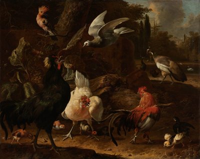 公园里的鸟儿 作者 Melchior d'Hondecoeter