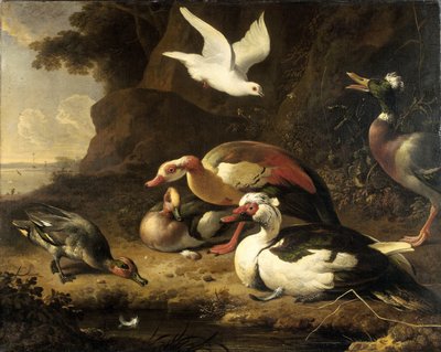 鸭子 作者 Melchior d'Hondecoeter