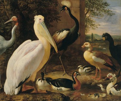 河流景观中的鹈鹕、丹顶鹤、卷尾鹱、白鹤和鸭子 作者 Melchior d'Hondecoeter