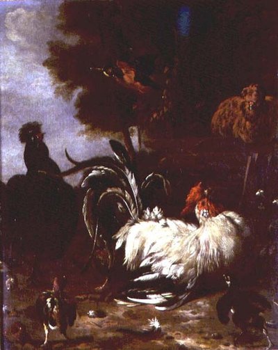 树林里的公鸡和其他家禽 作者 Melchior de（追随者）Hondecoeter