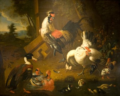 一只公鸡、一只母鸡和三只鸭子 作者 Melchior de (studio of) Hondecoeter
