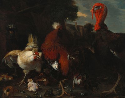 母鸡，公鸡和土耳其在农家院 作者 Melchior de Hondecoeter