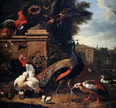 公园里的孔雀、老鹰和各种家禽和鸭子（布面油画） 作者 Melchior de Hondecoeter
