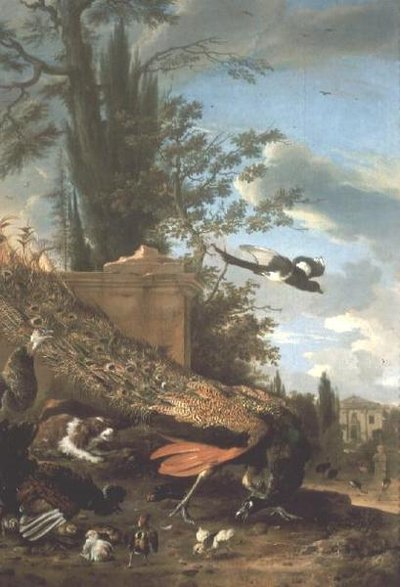 别墅花园里的孔雀和小猎犬 作者 Melchior de Hondecoeter