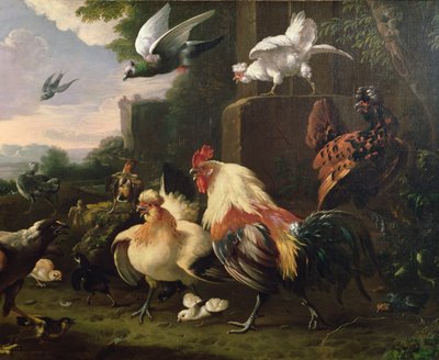 公鸡和其他鸡在风景中 作者 Melchior de Hondecoeter