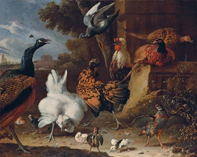 豪宅公园的墙上的公鸡，母鸡，小鸡，a 、,、孔雀和鸽子 作者 Melchior de Hondecoeter