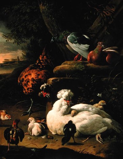 一只母鸡带着小鸡，一只公鸡和鸽子的风景（布面油画） 作者 Melchior de Hondecoeter