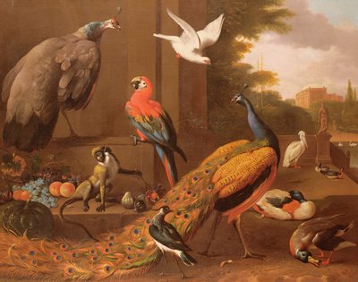 鸟类在景观中 作者 Melchior de Hondecoeter