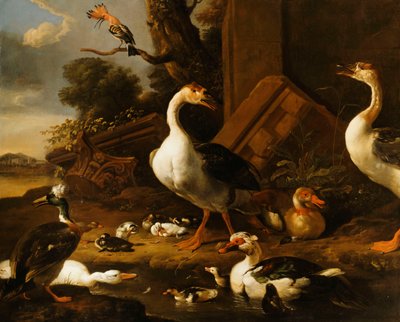 在附近有废墟的风景中的中国和埃及鹅和其他鸟类， 作者 Melchior de Hondecoeter