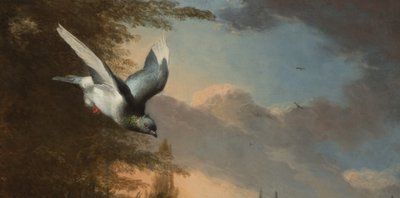 动物园》的细节，约1680年（布面油画 作者 Melchior de Hondecoeter