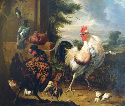 农家禽 作者 Melchior de Hondecoeter