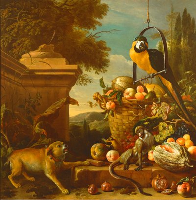 金刚鹦鹉和一只猴子 作者 Melchior de Hondecoeter