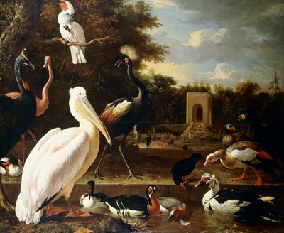 公园游泳池旁的许多不同类型的鸟类 作者 Melchior de Hondecoeter