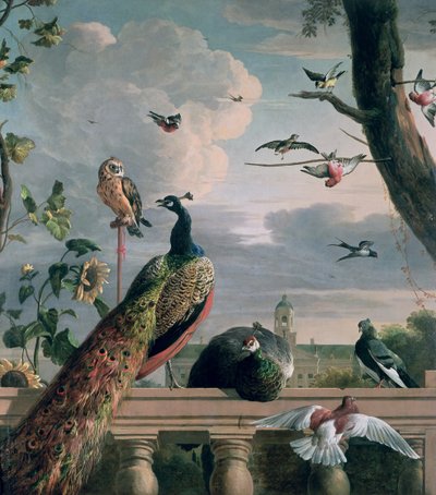 阿姆斯特丹宫与异国情调的鸟 作者 Melchior de Hondecoeter