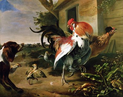 家禽和西班牙猎狗在农家院 作者 Melchior de Hondecoeter