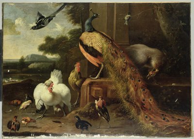 家禽政变中的反抗 作者 Melchior de Hondecoeter